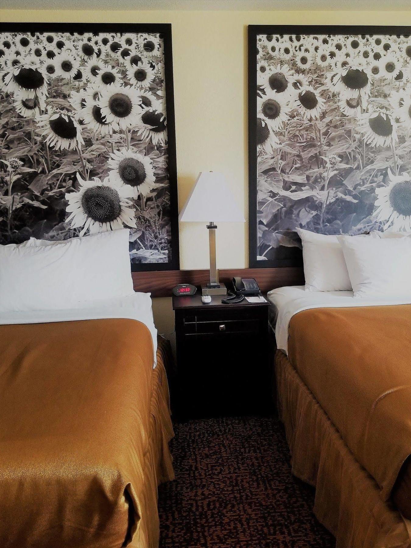 Super 8 By Wyndham Des Moines Ξενοδοχείο Εξωτερικό φωτογραφία